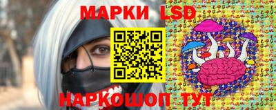спиды Будённовск