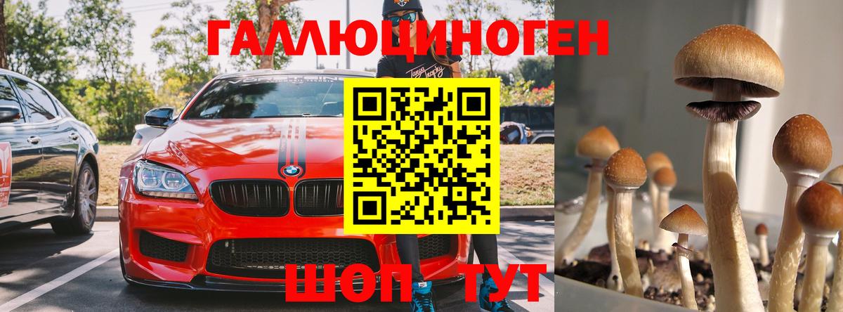 Псилоцибиновые грибы GOLDEN TEACHER Щёлково